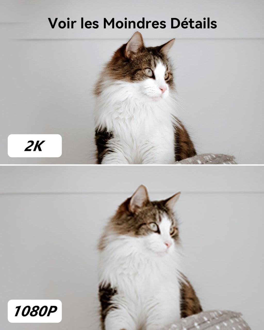 Imou Caméra Intérieure 2K 3MP WiFi 360° Détection AI Audio Bidirectionnel