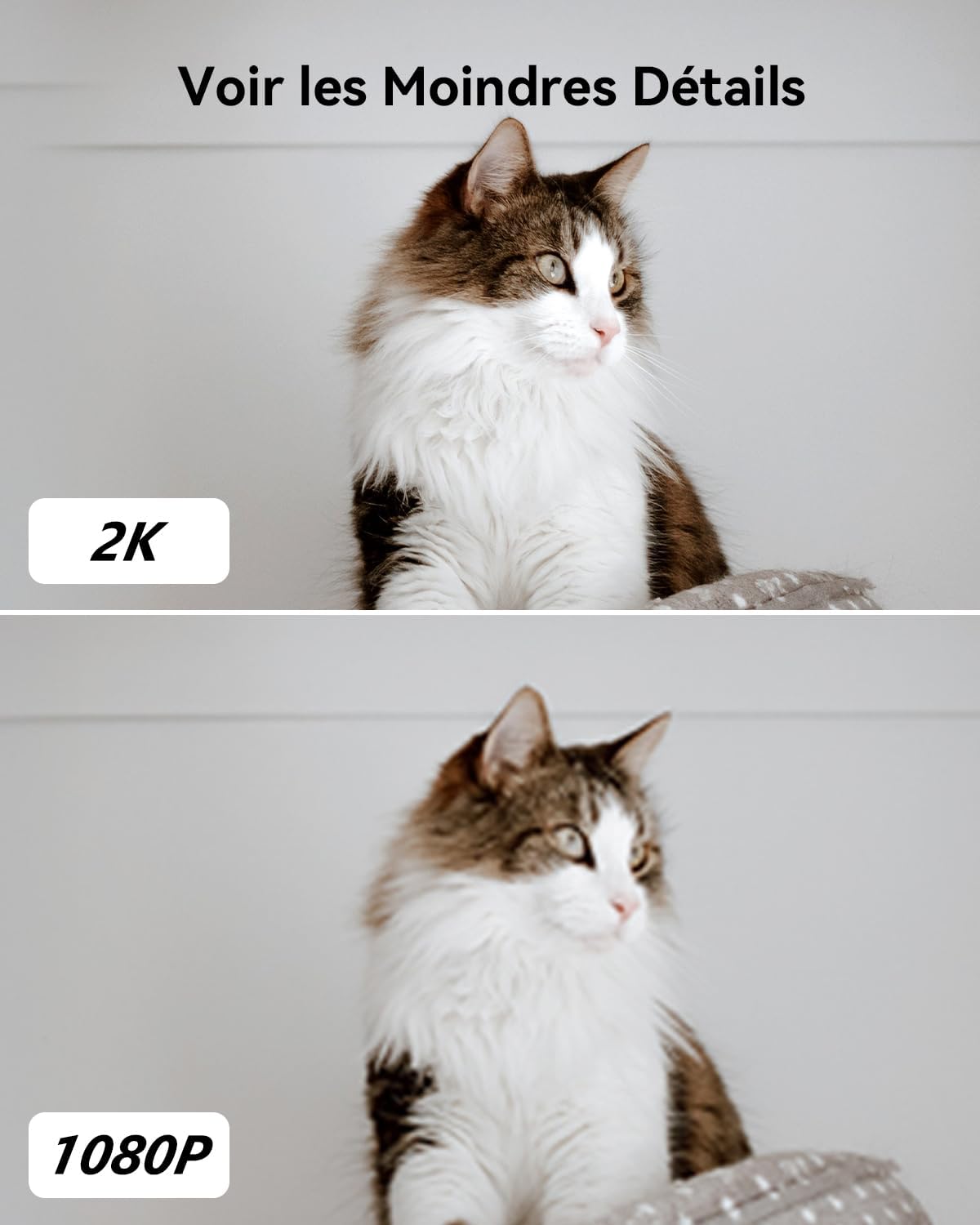 Imou Caméra Intérieure 2K 3MP WiFi 360° Détection AI Audio Bidirectionnel